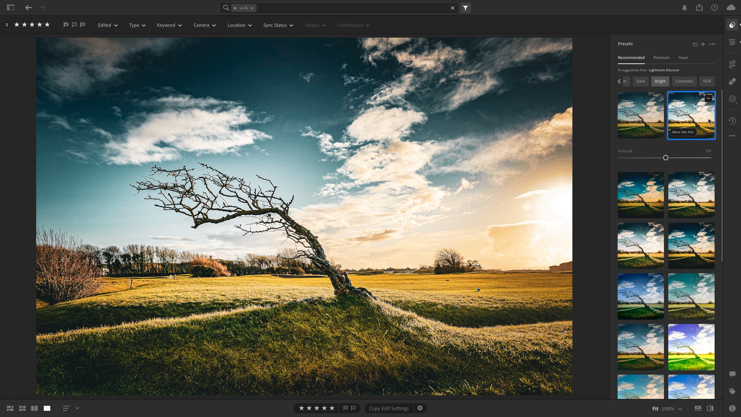 Lightroom reste le meilleur pour éditer des lots de photographies